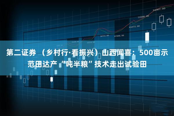 第二证券 （乡村行·看振兴）山西闻喜：500亩示范田达产 “吨半粮”技术走出试验田